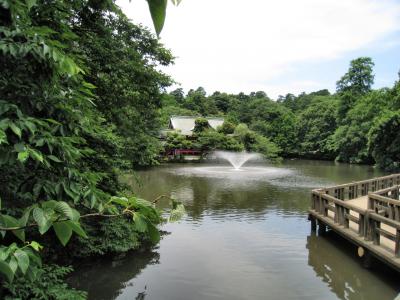 深緑の井の頭公園散策