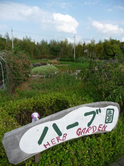 2009年季節の花だより◆和泉リサイクル環境公園のハーブ園（大阪府和泉市）
