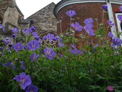 可愛い過ぎる町、ライへ！