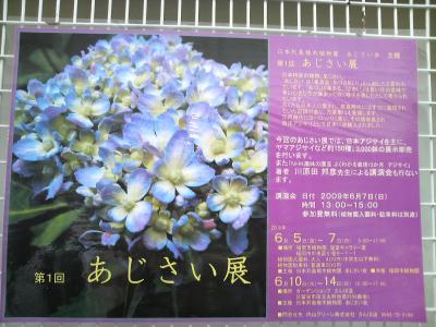 2009年６月　福岡市植物園 あじさい展の旅