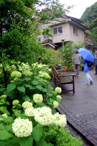 金沢街道沿いのひっそりと佇む古刹を巡る鎌倉散策