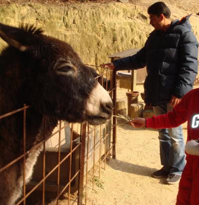 渋川動物公園…うさぎさんにショック