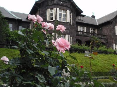 バラの季節の鳩山会館～旧古河庭園へ?