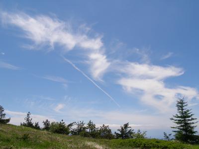 湯の丸高原ハイキング（回想録）