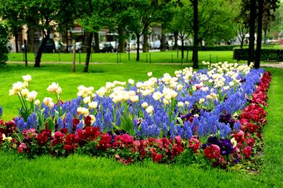 北欧４カ国(3)　エスプラナーディ通り