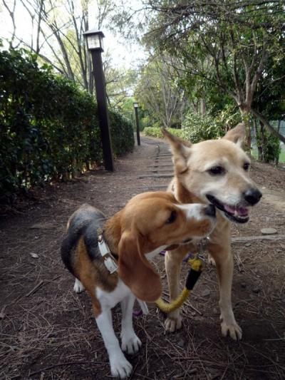 猿江恩寵公園☆