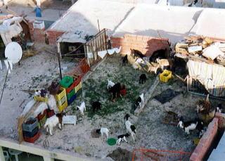 チュニジア・東欧旅行記４（ガフサ～トズール）