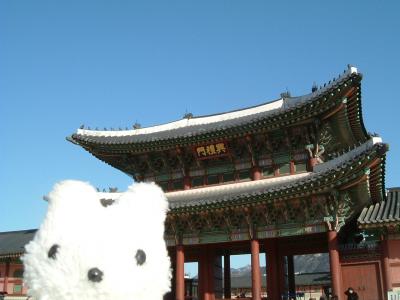 ソウル　食べまくりの旅