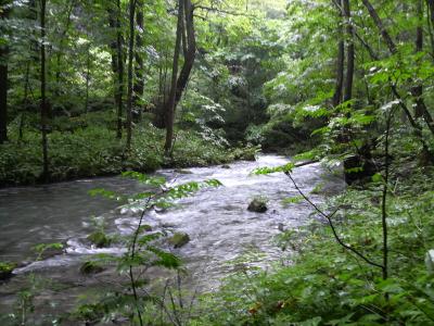 東北４県家族旅行★秋田→青森