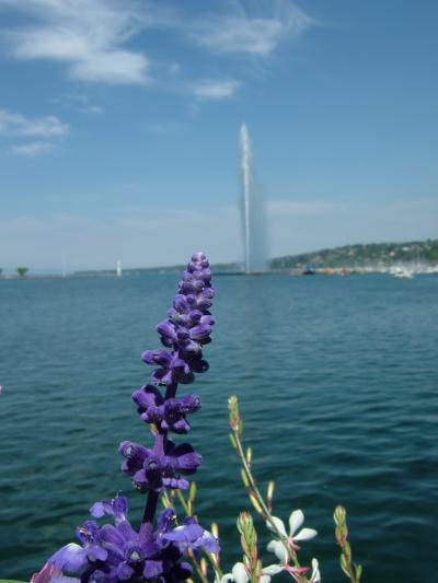 【ヨーロッパ周遊旅行】　ジュネーブ編