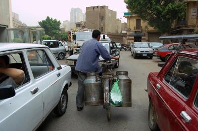 ファラオに会いたくて　エジプト?　ありがとう！さようならエジプト