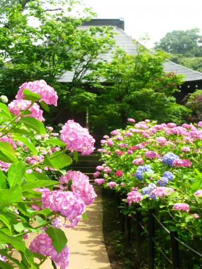 古刹*長谷山本土寺の庭園を巡りて　☆静寂の境内も