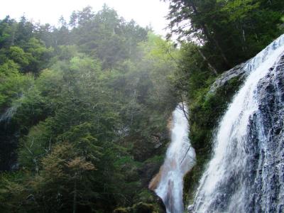 梅雨入りの信州(4) 乗鞍高原：かもしかの径を経て三本滝へ ～2009年6月～