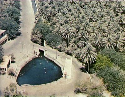 ノスタルジック中近東：　大韓航空機爆破 「蜂谷真由美」と　文明の交差点