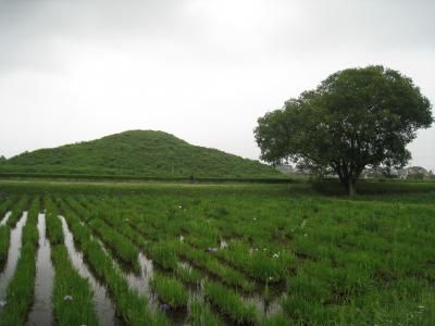 (@￣∇￣@)/~ オー久しぶりニッポン　五日目埼玉行田