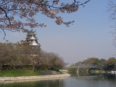 岡山の名庭園、後楽園外堀の桜