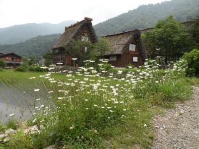 北陸１泊２日温泉旅行。。。その６「白川郷」