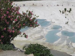 トルコ丸かじり10日間　☆４日目☆　パムッカレバージョン