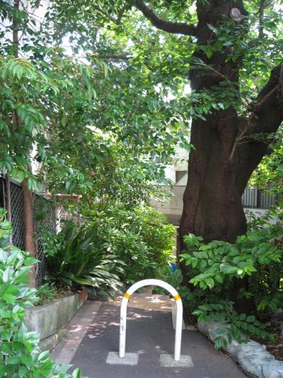 ★代々木八幡の緑の住宅街★
