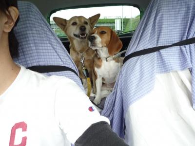 西湖へGOGOGO！！