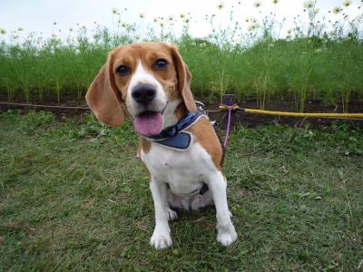 昭和記念公園へGOGO