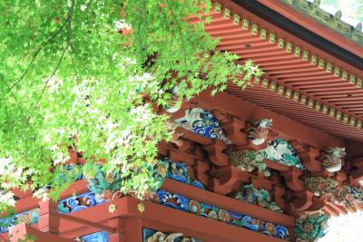 中年ハイク：　高尾山