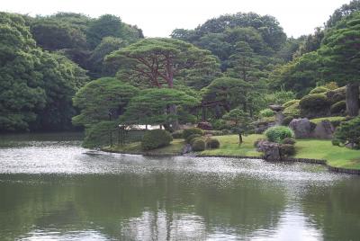 初夏の六義園を訪問する?初夏の六義園の風景