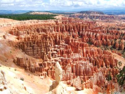 Coral Pink Sand Dunes, Bryce Canyon, Kodachrome Basin, UT-12, Capitol Reef（2007年夏の旅行記）