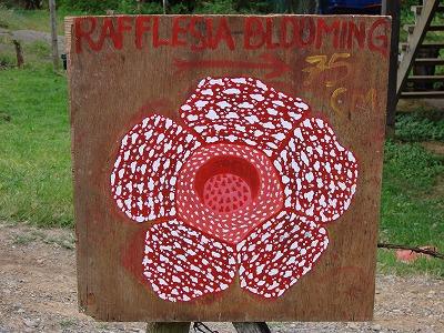 コタキナバル de 自然満喫の旅?