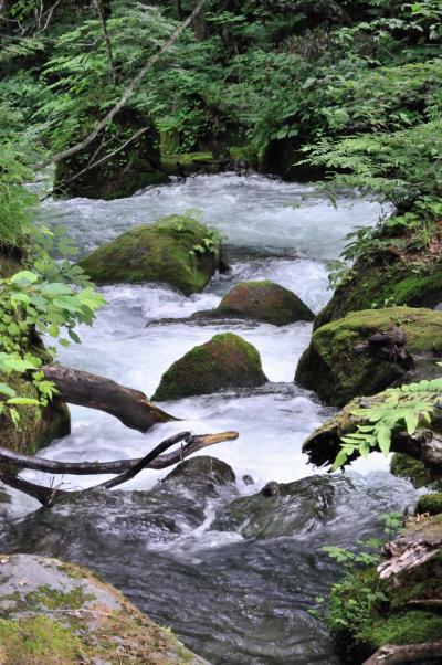 東北in梅雨季　４　十和田湖　奥入瀬渓流