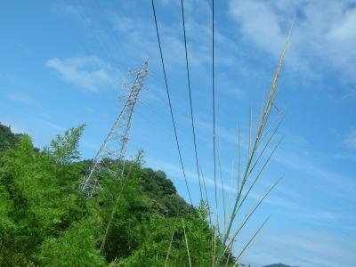 しまなみ街道サイクリング