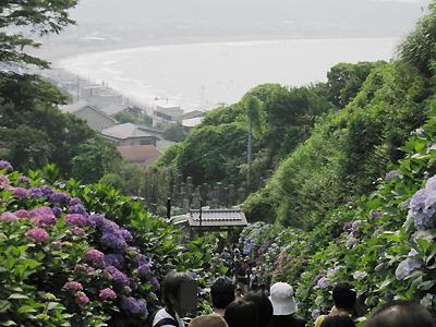 あじさいの成就院