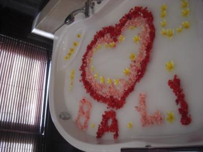 バリ島&ジョグジャカルタ