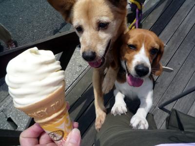 お気に入りのテラスへGO