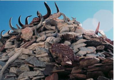 チベット自治区を脱出するのだの巻