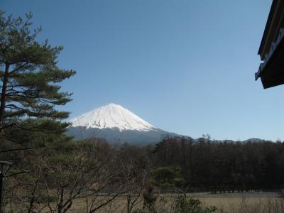 女子2人で日帰り河口湖