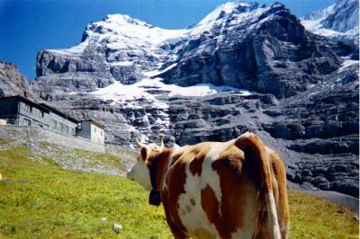 もう一度行きたい国スイス