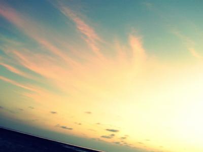 2009.6/1-21 バリ+ギリ トラワンガン+シンガポール【ギリ トラワンガン編】