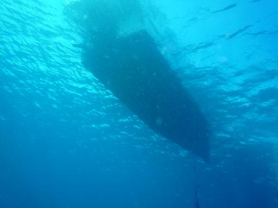 また、久米島へダイビング