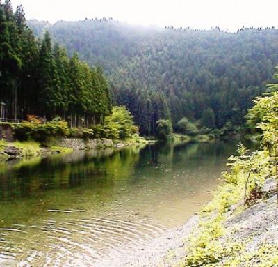 梅雨の晴れ間だ！　家族ｄｅ天川の蛍キャンプ その２