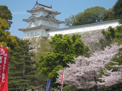 明石公園の桜とグルメ