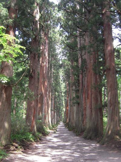 癒しの地、パワーも感じた。