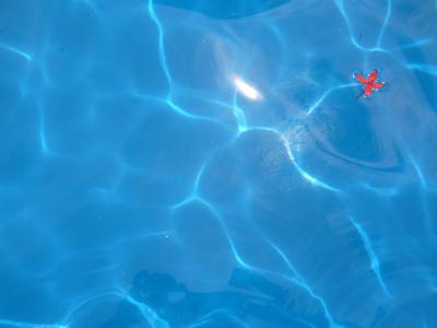 リブランドオープン 万座　インターコンチ