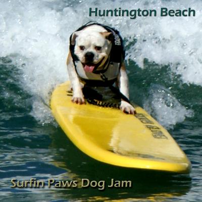 HB SurfinPaws Dog Jam 　　ワンちゃんサーフィン大会
