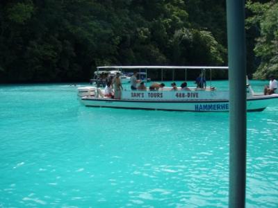 コンチネンタルで行くグアム経由パラオ-3日目「ダイビング」ミルキーウェイ&ブルーコーナー編