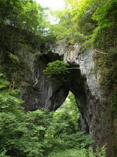 滝と洞窟で涼もう②　羅生門は鍾乳洞のなれの果て　岡山県新見市