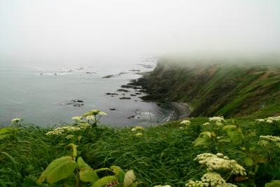 北海道初夏? 帯広～襟裳岬～苫小牧