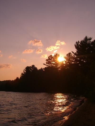 Algonquin Park:アルゴンキンパーク　トロントからの日帰り旅行