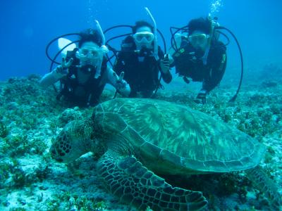 SAIPAN Diving満喫旅行5日間