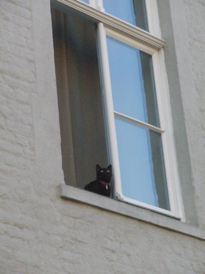 ベルギー旅行（6/20～28）その?ブルージュ